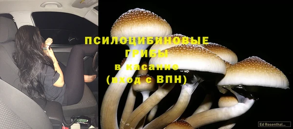 спиды Алзамай