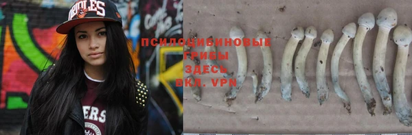 спиды Алзамай