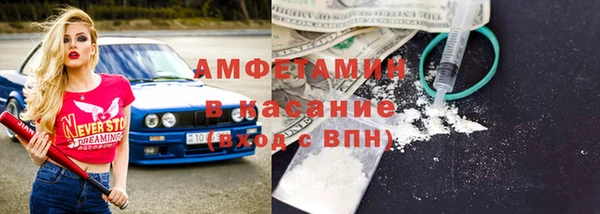 метадон Алексин
