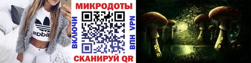 где можно купить   Тара  Галлюциногенные грибы прущие грибы 
