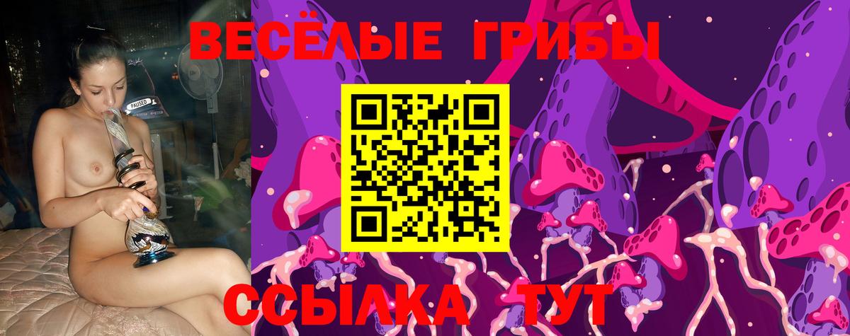Галлюциногенные грибы ЛСД  Вход с VPN  Галлюциногенные грибы мицелий  Тара 